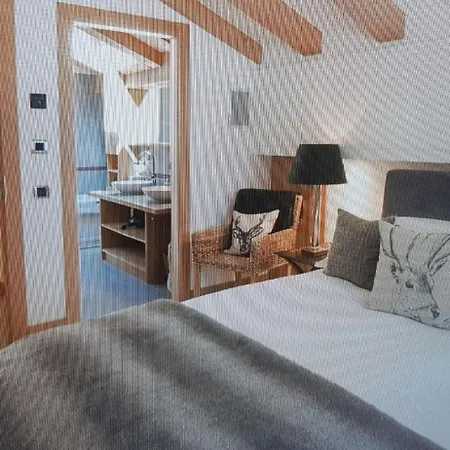 Apartment Large Luxury In Verbier